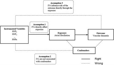 No causal genetic relationships between atrial fibrillation and vascular dementia: A bidirectional Mendelian randomization study